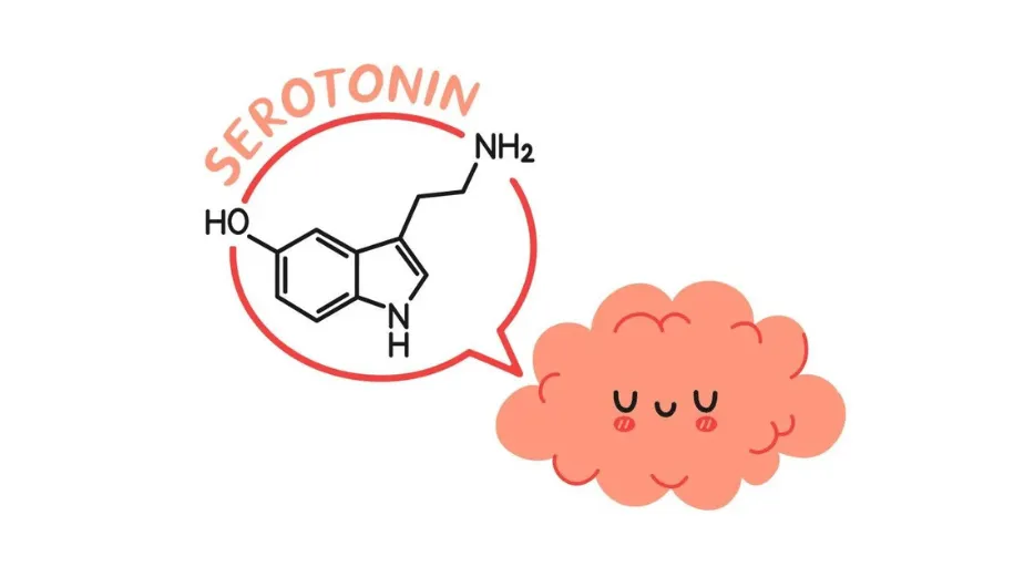 Sérotonine hormone du bonheur - Par SevNaturo - Naturopathe à Lille