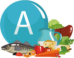 Les aliments riches en Vitamine A dans notre alimentation